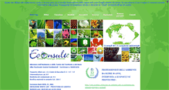 Desktop Screenshot of econsultsas.com